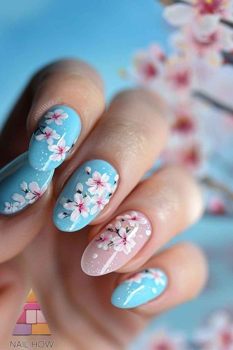Spring Blossoms